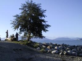 Spanish Banks