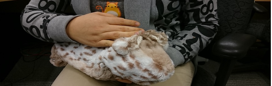 Sensing and Machine Recognition of Affective Touch: Detecting Gestures To Facilitate Stronger Interactions with Furry Robot Pals