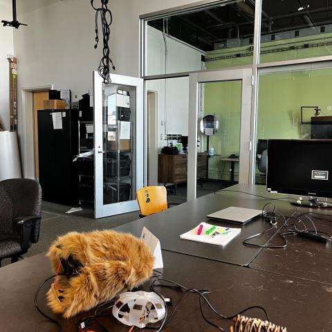 Fur everywhere! SPIN workspace