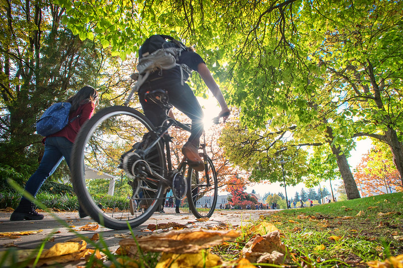 Fall on campus