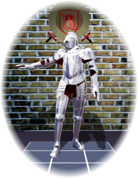 Virtual Knight