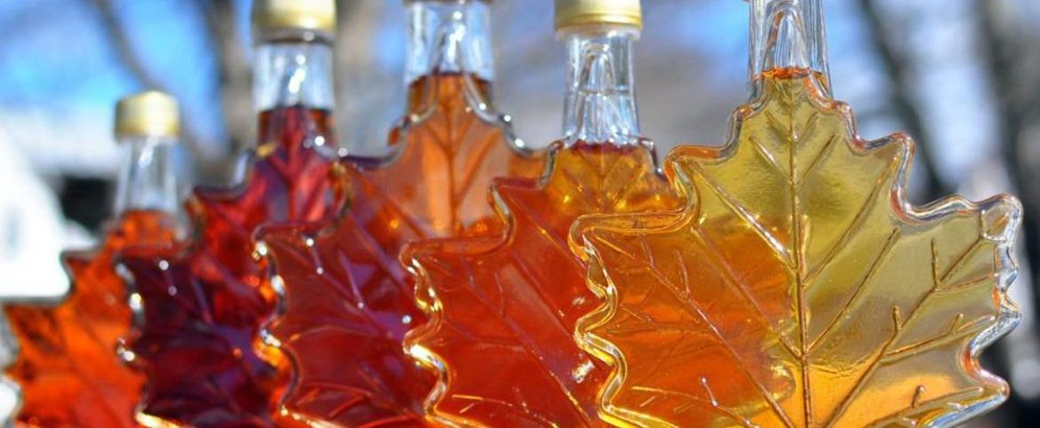 Maple syrup bottles
