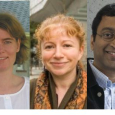 Joanna McGrenere, Alla Sheffer, Dinesh Pai