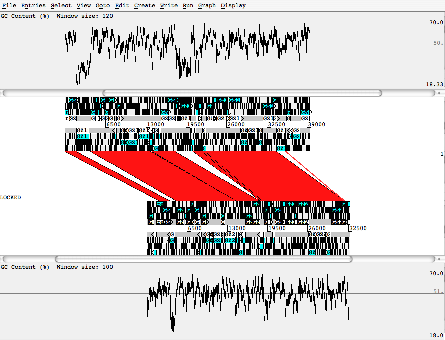 blasted pair of sequences, using ACT from the sanger center.