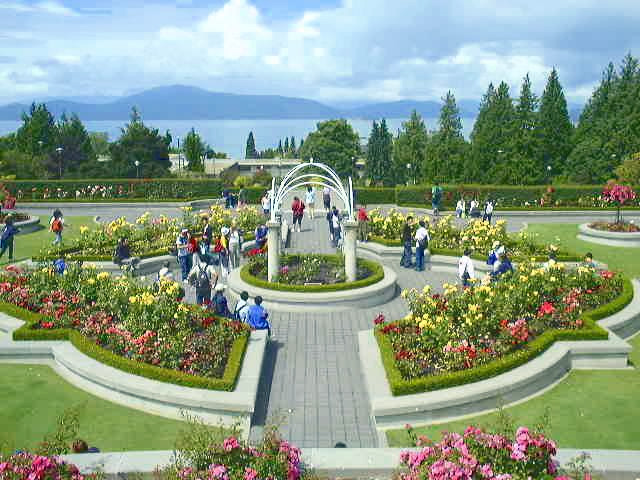 UBC Rose Garden