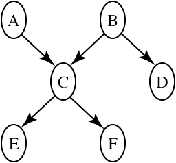 Belief network
