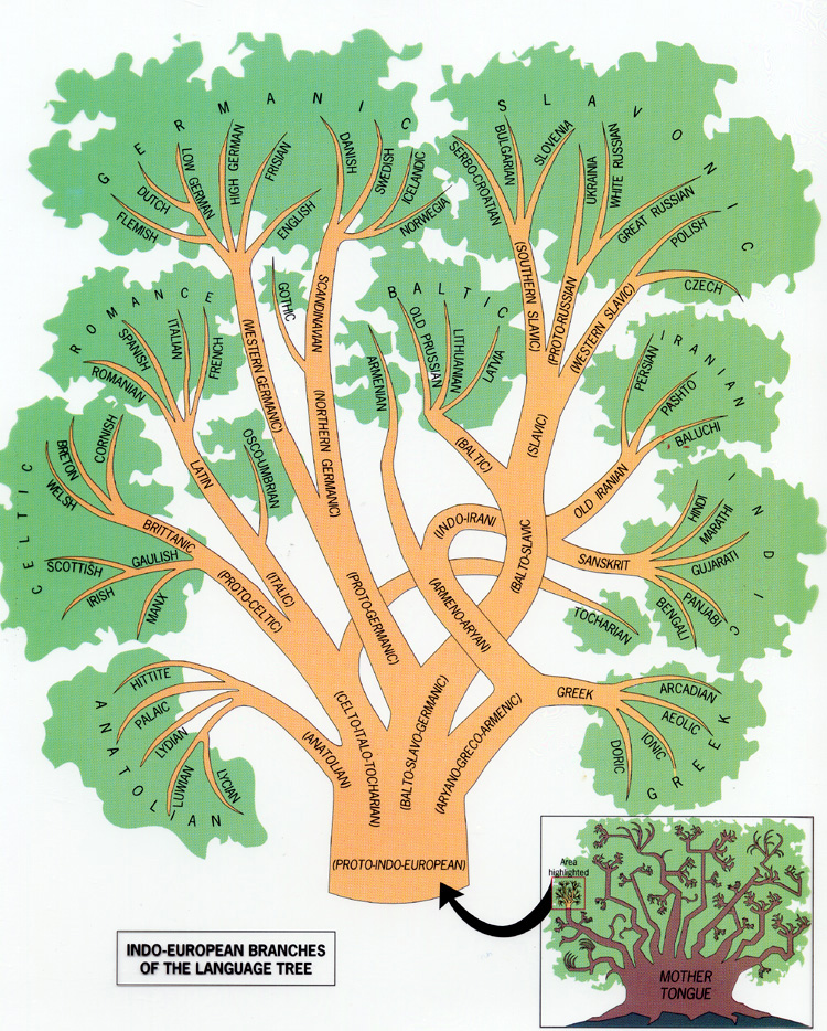 Indo-European Language Family Tree